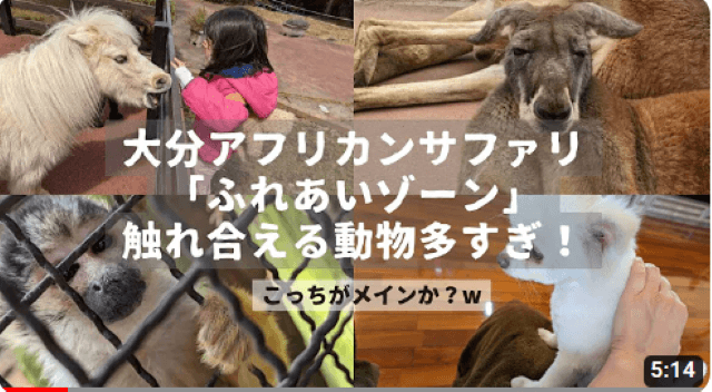 大分アフリカンサファリの「ふれあいゾーン」の動物を一気に紹介したYouTube動画の紹介画像